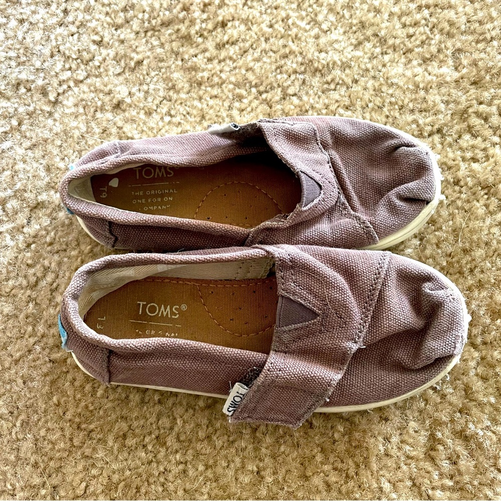 TOMS Kids Alpargata Birch Velcro grey Slip-on Shoes Size: 9C children toddler